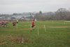 SW XC 12 (76)