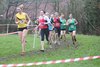 SW XC 12 (95)