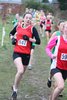 SW XC 12 (152)