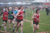 SW XC 12 (137)